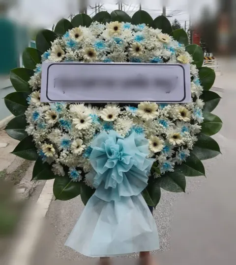 พวงหรีดเยอบีร่า โทนครีมฟ้าเขียว